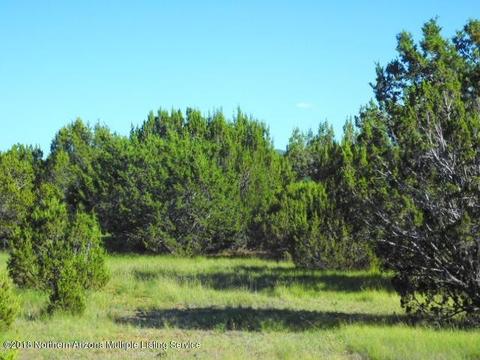 256 E Riverside Dr, Williams, AZ 86046 photo 1
