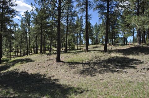 2771 E Bryds View Dr, Flagstaff, AZ 86005 photo 3