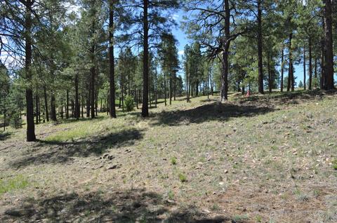 2771 E Bryds View Dr, Flagstaff, AZ 86005 photo 1