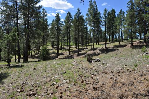 2771 E Bryds View Dr, Flagstaff, AZ 86005 photo 2