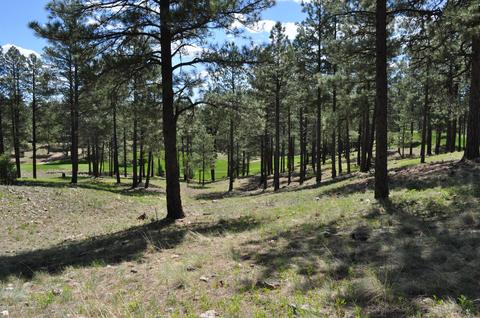 2733 E Byrds View Dr, Flagstaff, AZ 86005 photo 4