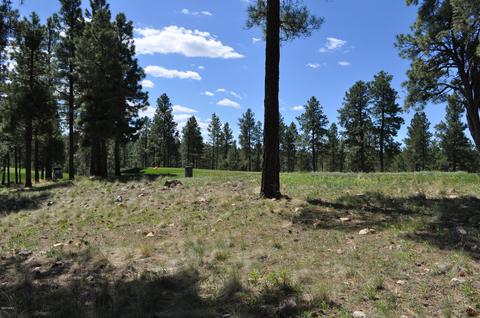 2733 E Byrds View Dr, Flagstaff, AZ 86005 photo 5