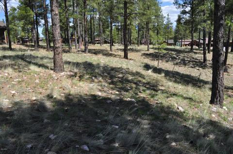 2733 E Byrds View Dr, Flagstaff, AZ 86005 photo 3