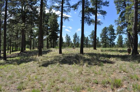 2733 E Byrds View Dr, Flagstaff, AZ 86005 photo 1