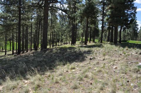 2733 E Byrds View Dr, Flagstaff, AZ 86005 photo 2