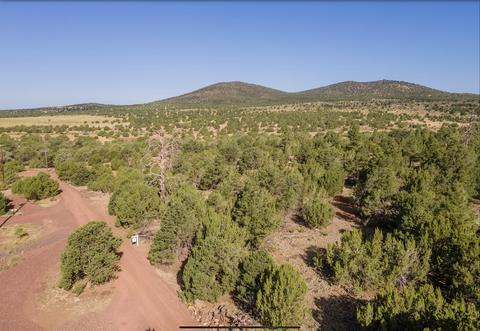 67 E Orchid Dr, Williams, AZ 86046 photo 4