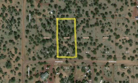 67 E Orchid Dr, Williams, AZ 86046 photo 2