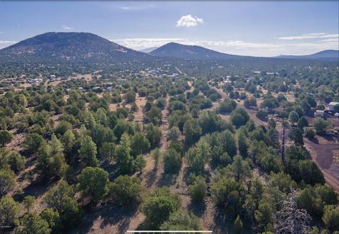 67 E Orchid Dr, Williams, AZ 86046 photo 1