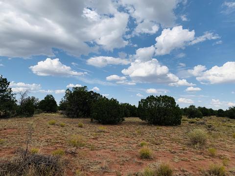4249 E Wingfield Rd, Williams, AZ 86046 photo 9