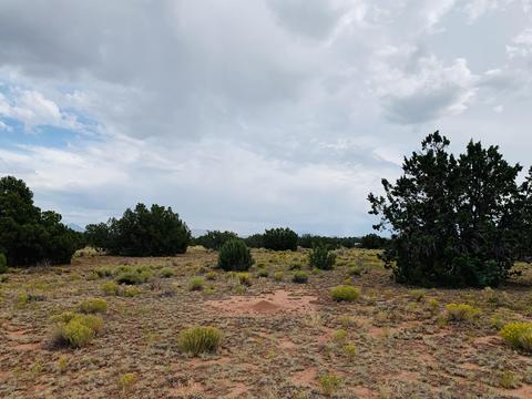 4249 E Wingfield Rd, Williams, AZ 86046 photo 7