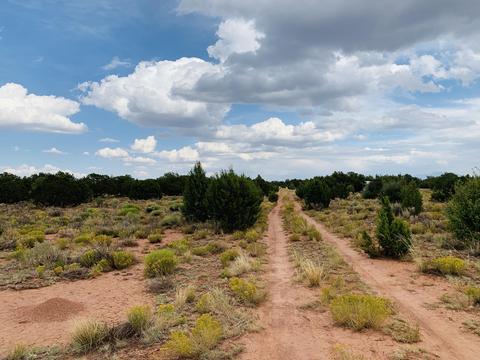 4249 E Wingfield Rd, Williams, AZ 86046 photo 6