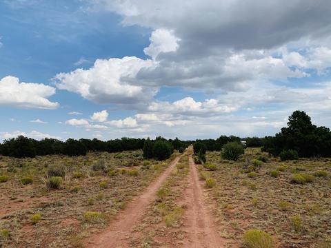 4249 E Wingfield Rd, Williams, AZ 86046 photo 8