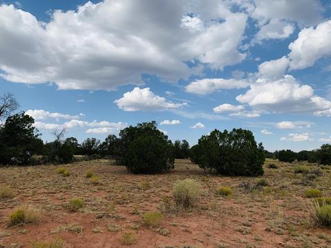 4249 E Wingfield Rd, Williams, AZ 86046 photo 2