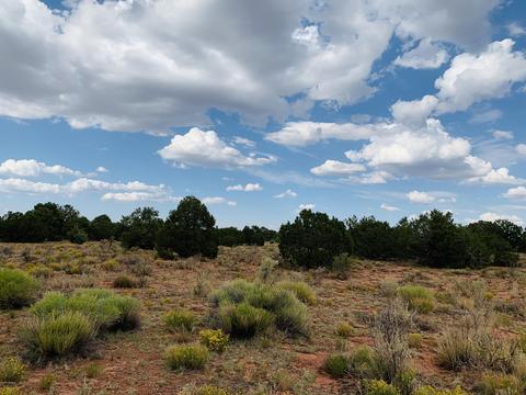 4249 E Wingfield Rd, Williams, AZ 86046 photo 4