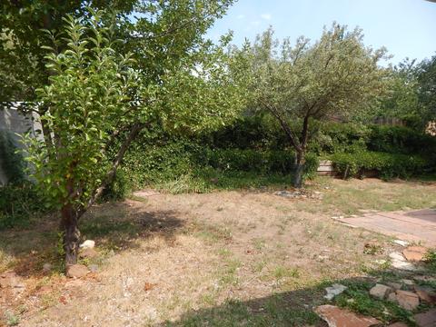 4870 E Tomahawk Dr, Flagstaff, AZ 86004 photo 3