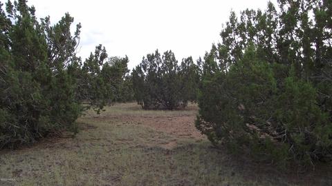 1480 E Kruger Long Rd, Williams, AZ 86046 photo 6