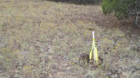 1480 E Kruger Long Rd, Williams, AZ 86046 photo 8