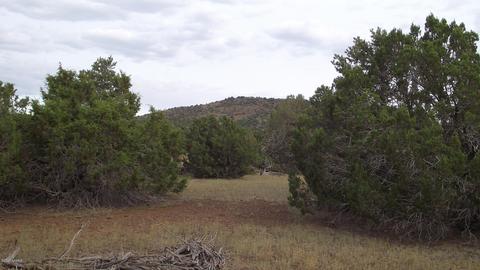 1480 E Kruger Long Rd, Williams, AZ 86046 photo 1