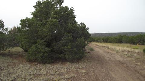 1480 E Kruger Long Rd, Williams, AZ 86046 photo 5