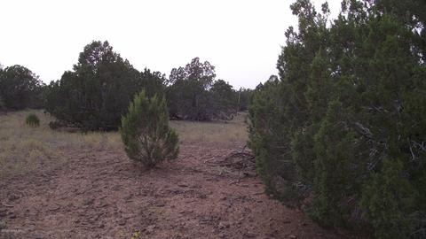 1480 E Kruger Long Rd, Williams, AZ 86046 photo 7