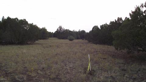 1480 E Kruger Long Rd, Williams, AZ 86046 photo 4