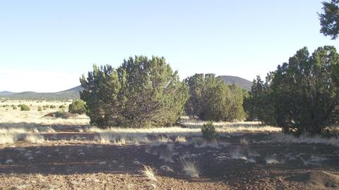2132 E Utopia Trl, Williams, AZ 86046 photo 5