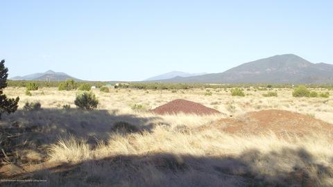 2132 E Utopia Trl, Williams, AZ 86046 photo 13