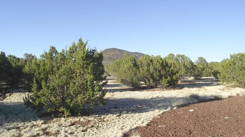 2132 E Utopia Trl, Williams, AZ 86046 photo 8