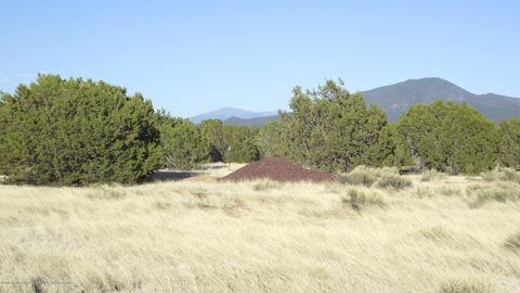 2132 E Utopia Trl, Williams, AZ 86046 photo 12