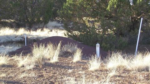 2132 E Utopia Trl, Williams, AZ 86046 photo 10