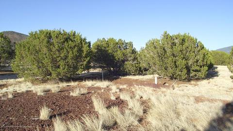 2132 E Utopia Trl, Williams, AZ 86046 photo 9