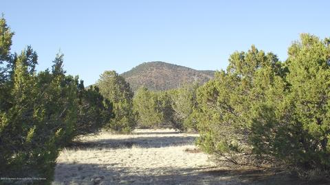 2132 E Utopia Trl, Williams, AZ 86046 photo 14