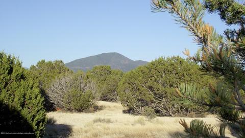 2132 E Utopia Trl, Williams, AZ 86046 photo 17