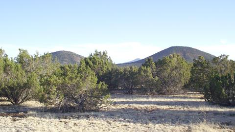 2132 E Utopia Trl, Williams, AZ 86046 photo 18