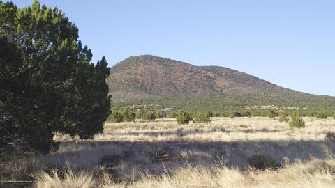 2132 E Utopia Trl, Williams, AZ 86046 photo 4