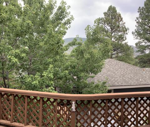 1007 E Hillcrest Dr, Flagstaff, AZ 86004 photo 25