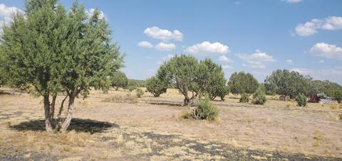 4675 N Ten Tanks Rd, Ash Fork, AZ 86320 photo 30