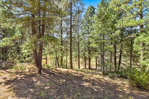 3875 E Kokopelli Ln, Flagstaff, AZ 86004 photo 39