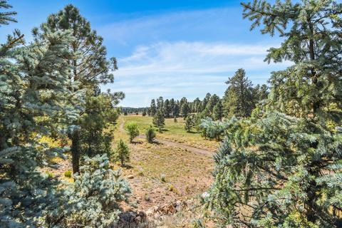 3875 E Kokopelli Ln, Flagstaff, AZ 86004 photo 38
