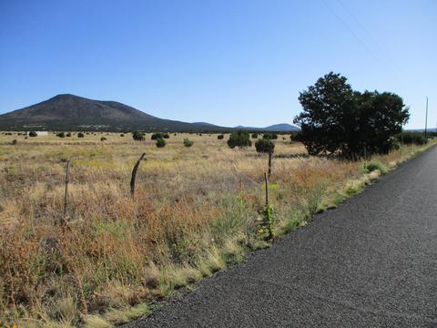 2061 E Hoctor Rd, Williams, AZ 86046 photo 2