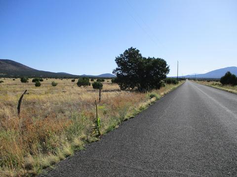 2061 E Hoctor Rd, Williams, AZ 86046 photo 3