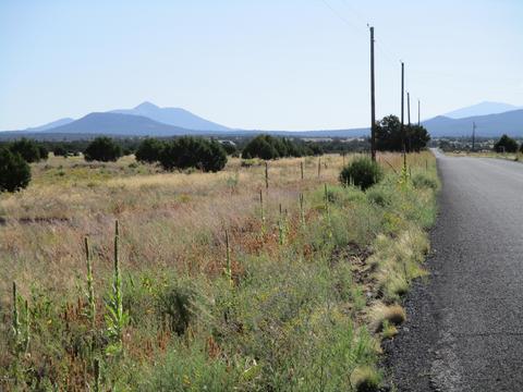 2061 E Hoctor Rd, Williams, AZ 86046 photo 1