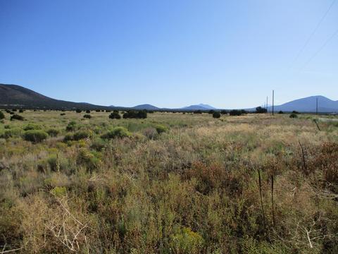 2061 E Hoctor Rd, Williams, AZ 86046 photo 5