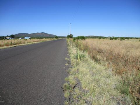 2187 E Hoctor Rd, Williams, AZ 86046 photo 1