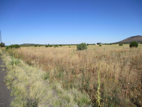 2187 E Hoctor Rd, Williams, AZ 86046 photo 3