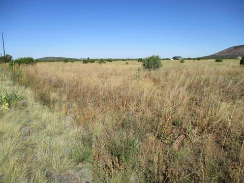 2187 E Hoctor Rd, Williams, AZ 86046 photo 4