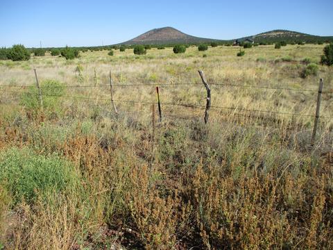 2187 E Hoctor Rd, Williams, AZ 86046 photo 5
