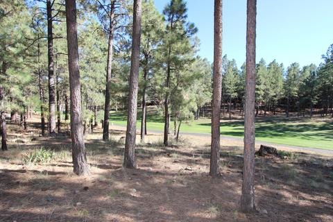 5241 E Hickory Dr, Flagstaff, AZ 86004 photo 10
