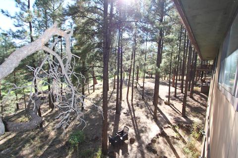 5241 E Hickory Dr, Flagstaff, AZ 86004 photo 34