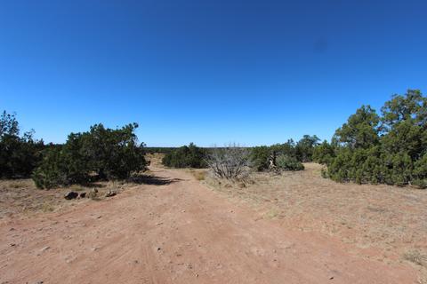 8146 E Roper Cir, Williams, AZ 86046 photo 9